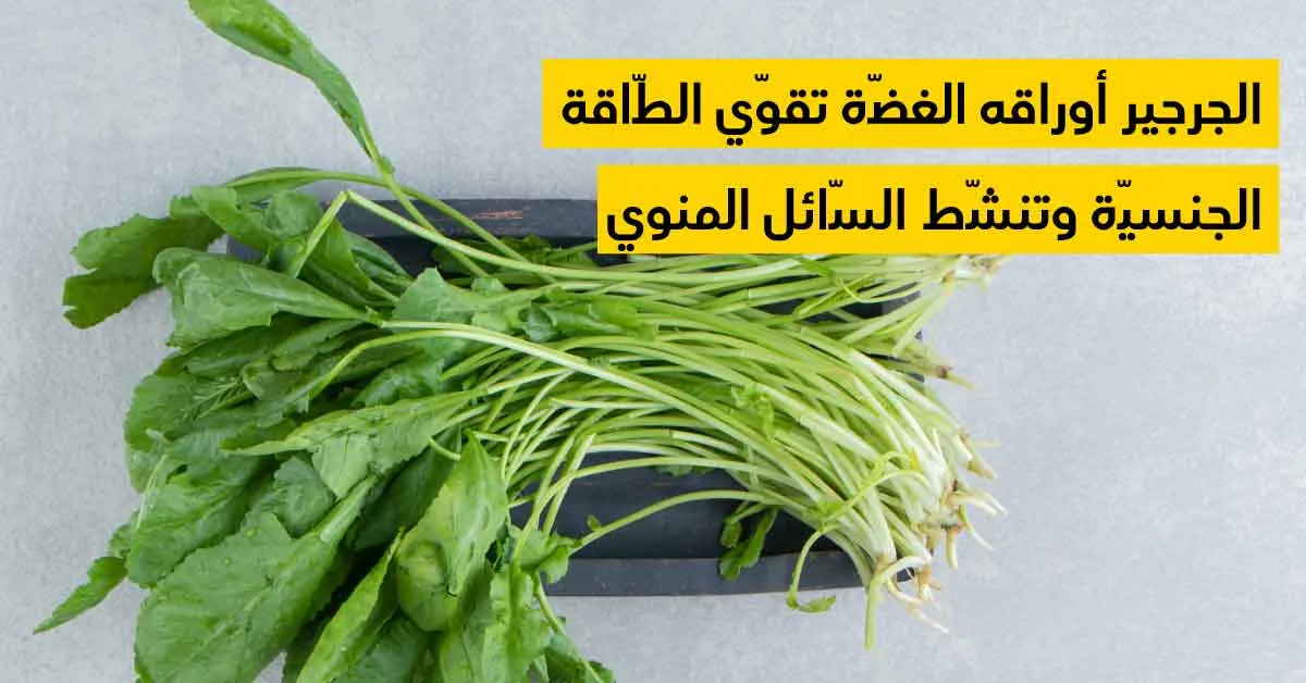 الجرجير أوراقه الغضّة تقوّي الطّاقة الجنسيّة وتنشّط السّائل المنوي
